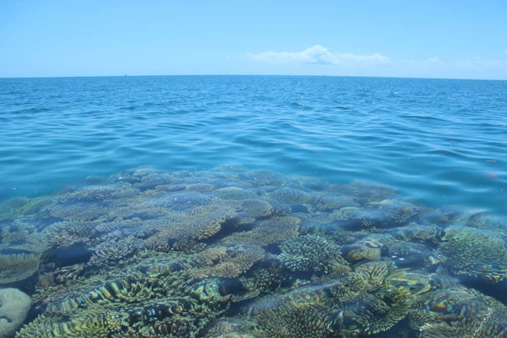 Que faire à Mayotte