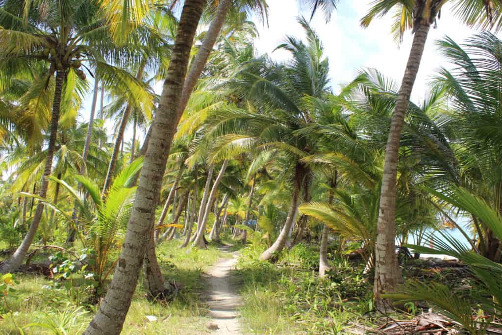 Voyager au San Blas