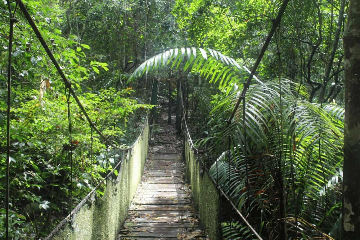 Visiter Le Panama