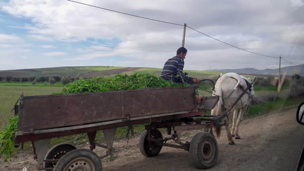 Sur la route du Maroc