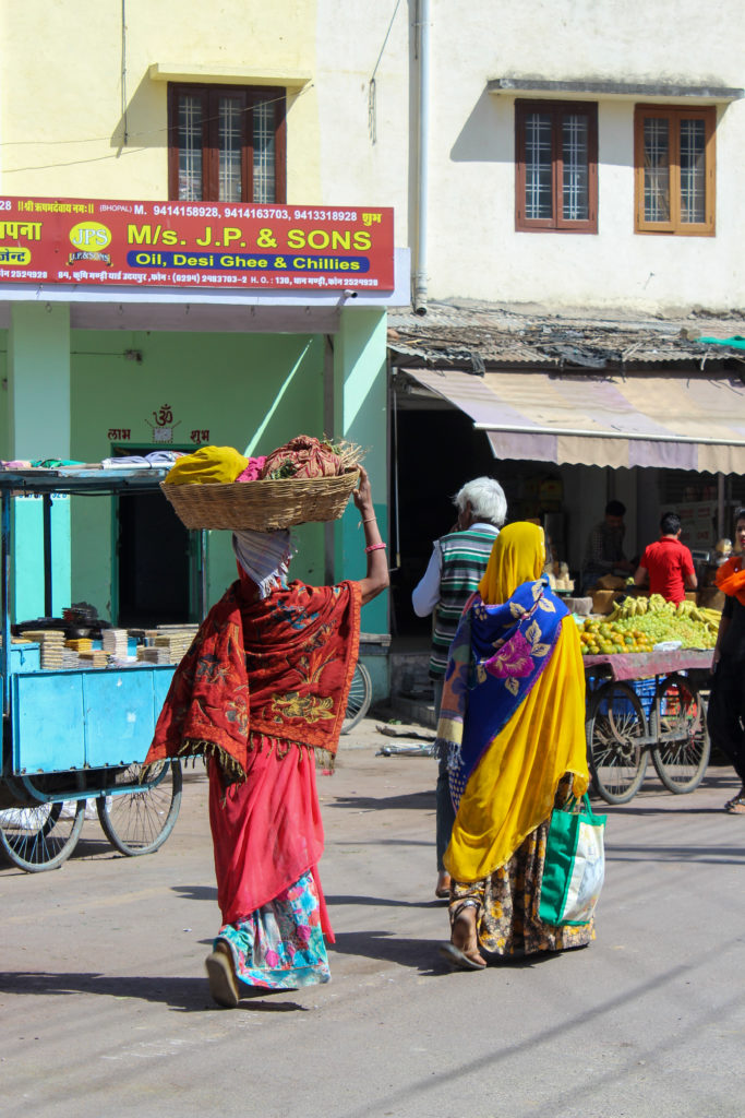 Udaipur voyage au Rajasthan