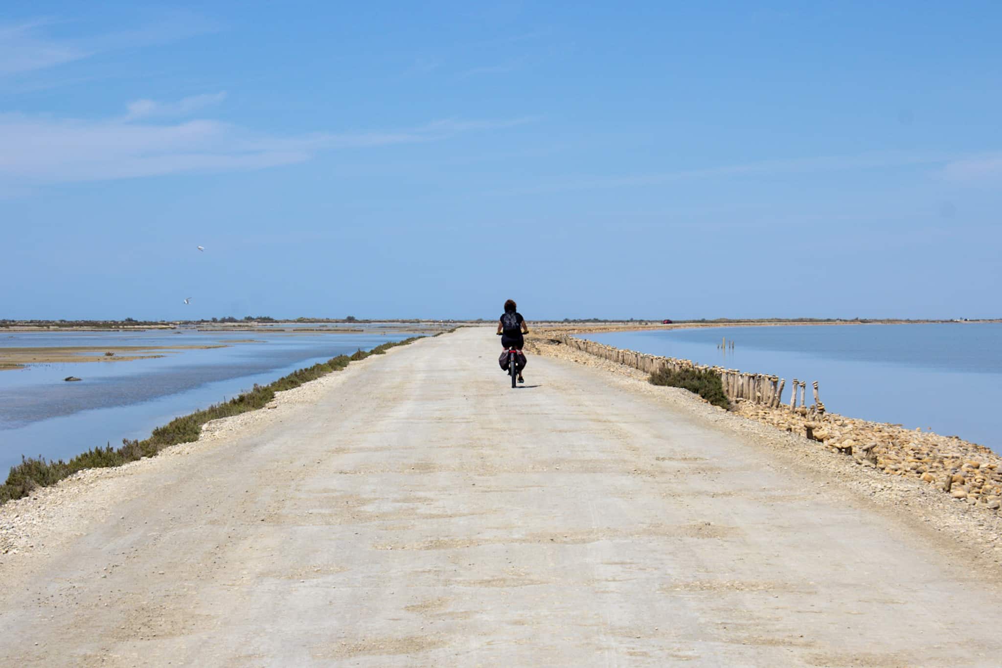 Découvrir la camargue