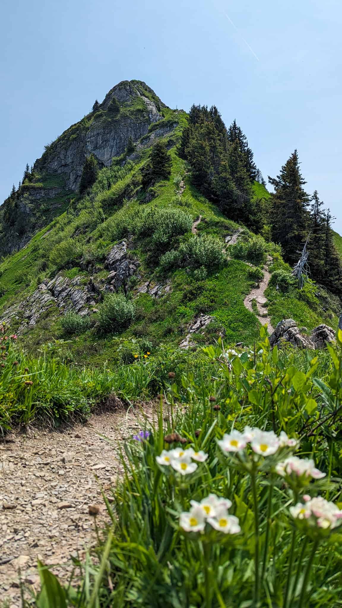 Randonnée en Haute Savoie
