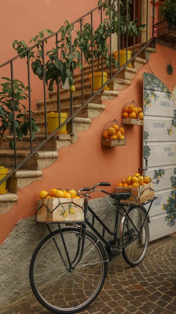  Limone sul Garda  lac de garde