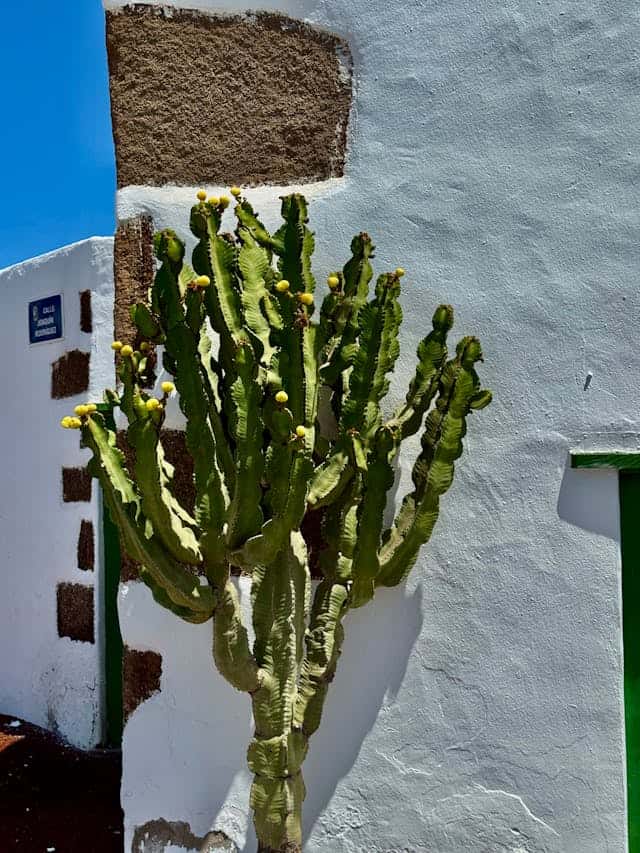 Ruelles blanches et architecture coloniale du village de Teguise Lanzarote