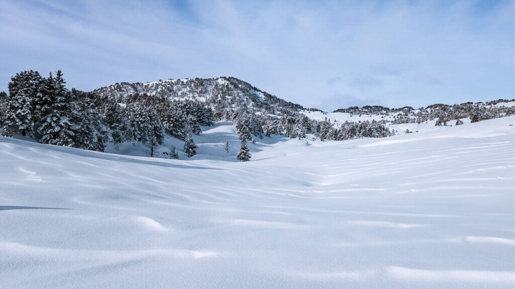 trek raquette hiver vercors