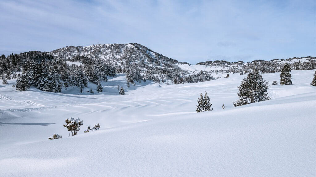 vue des hauts plateaux du Vercors en hiver