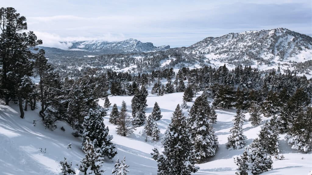 vue des hauts plateaux du Vercors en hiver