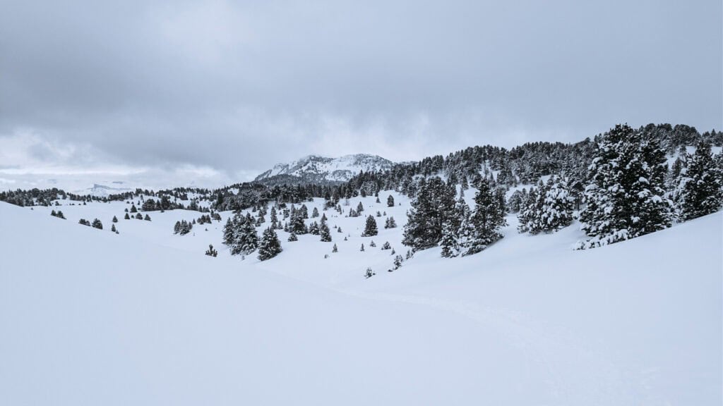 vue des hauts plateaux du Vercors en hiver