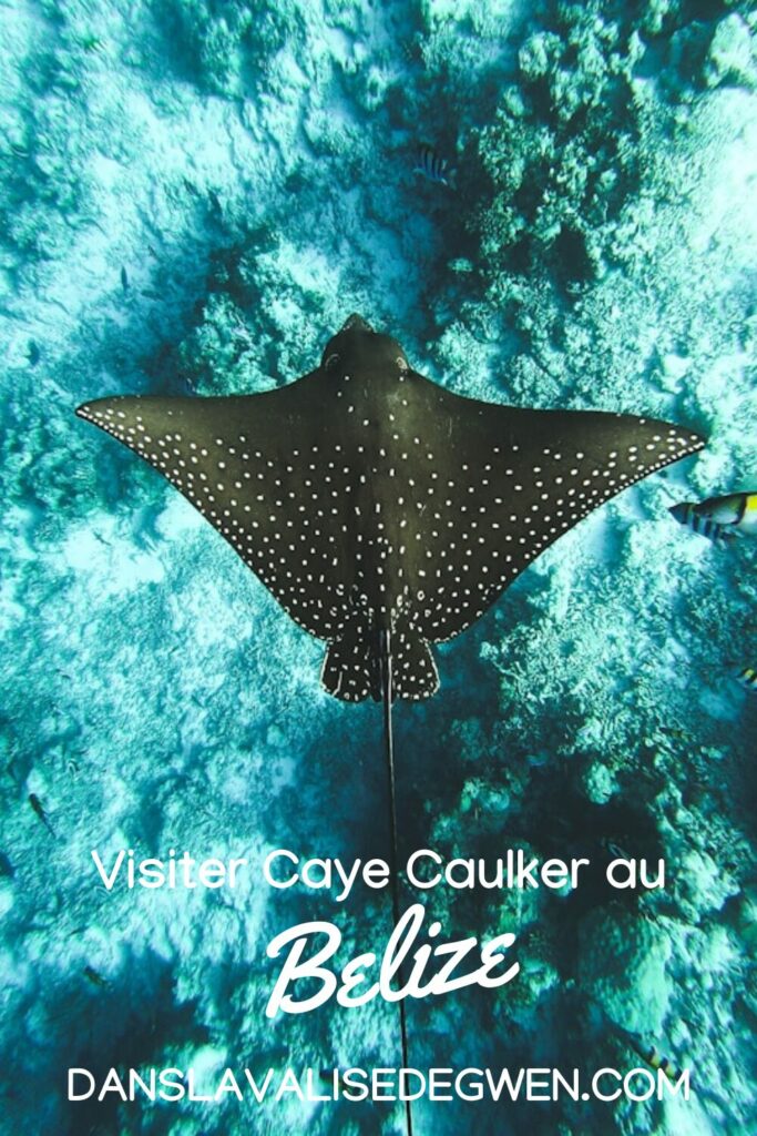 visiter caye caulker belize
