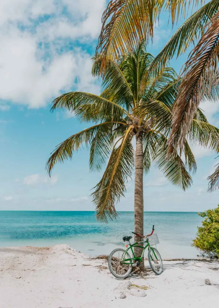 Se déplacer à Caye Caulker