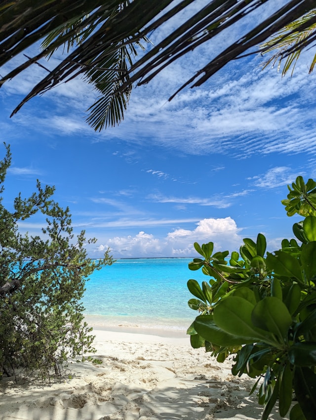 nord sauvage de Caye Caulker