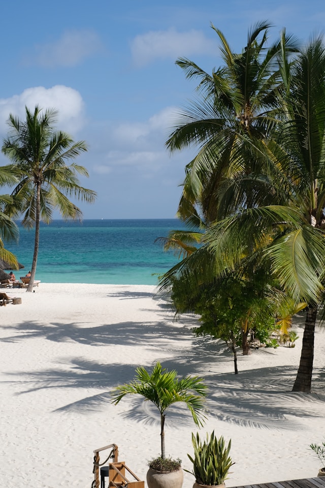 nord sauvage de Caye Caulker