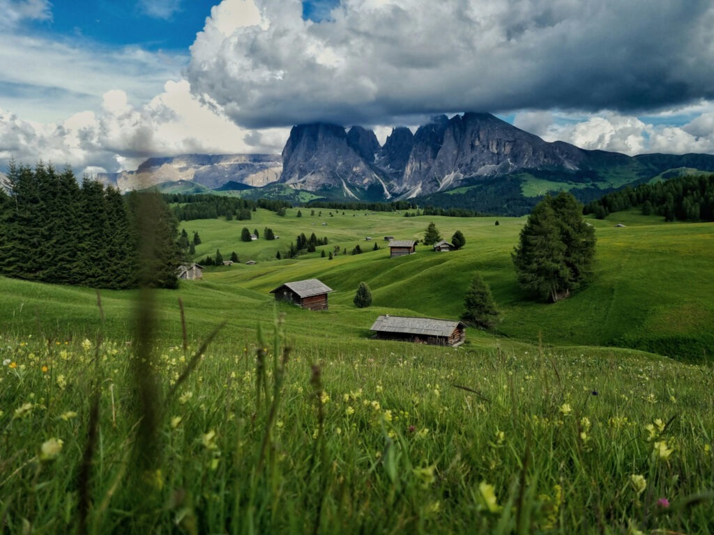 Alpe di Siusi